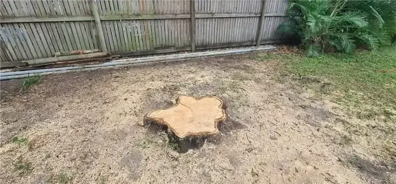 Low tree stump remaining in a cleared yard