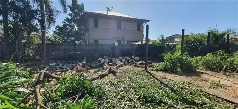 Yard after tree removal with cut trunk sections and cleared branches